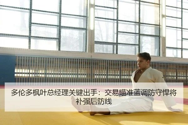 多伦多枫叶总经理关键出手：交易瞄准蓝调防守悍将补强后防线