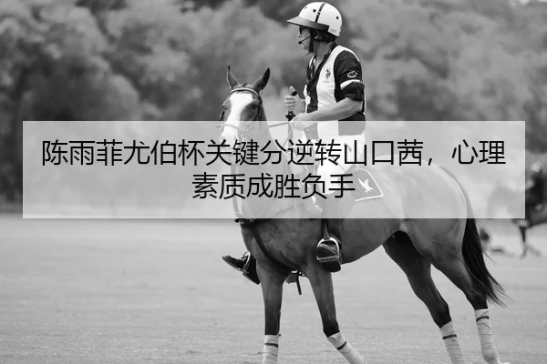 chen-yu-fei-you-bo-bei-guan-jian-fen-ni-zhuan-shan-kou-qian-xin-li-su-zhi-cheng-sheng-fu-shou-2-439.jpg